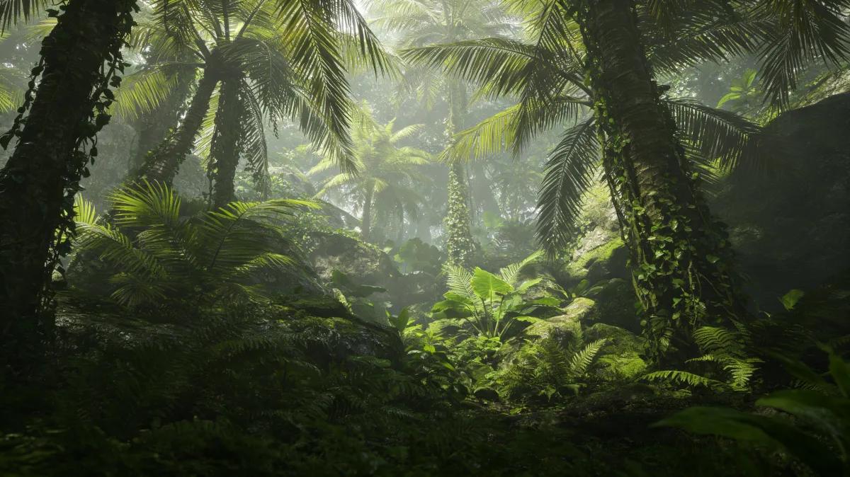 sun shafts through dense tropical jungle palms and vines