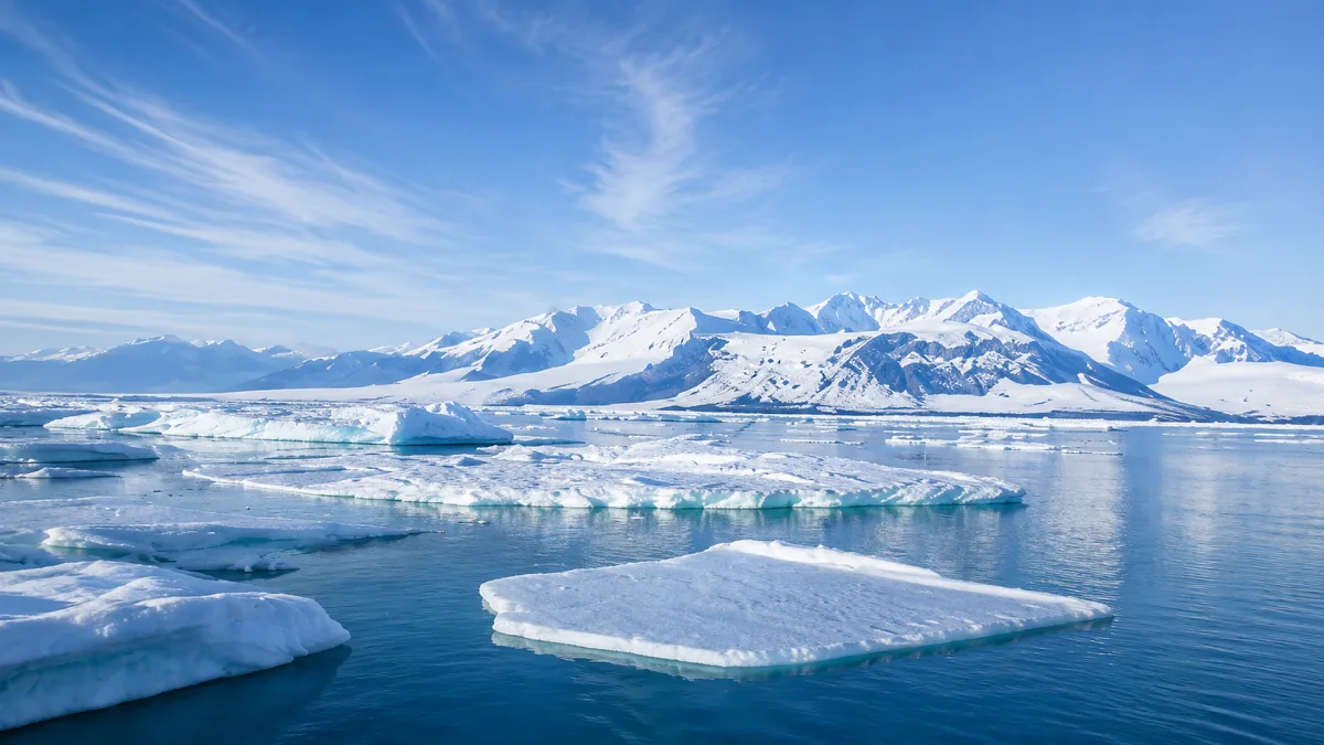 Ice floes drift across cold blue water in front of snowy polar mountains.