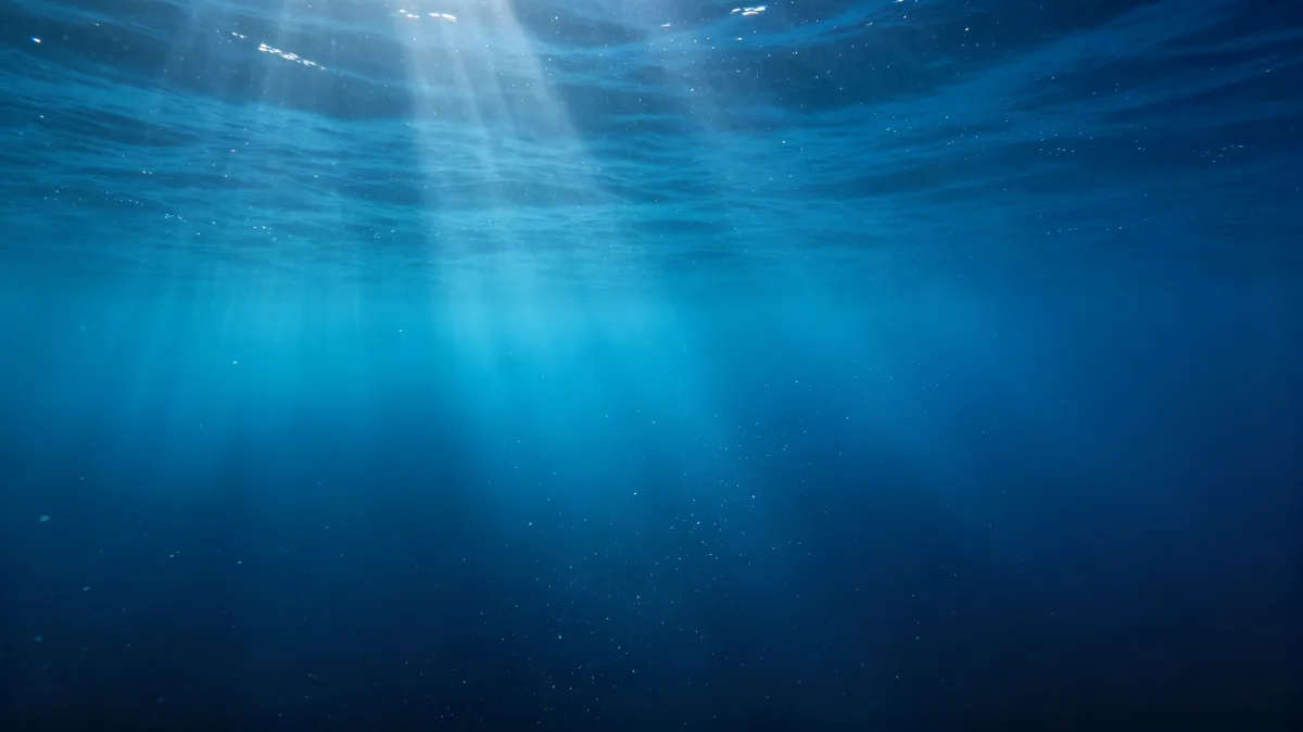 deep blue underwater space is crossed by soft sunbeams from the surface.
