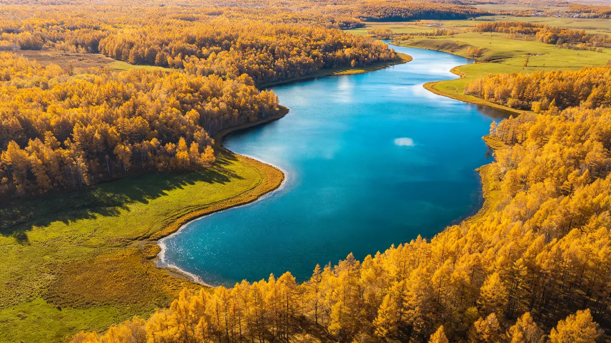 Aerial blue lake winding through golden autumn forest and green shoreline meadows.