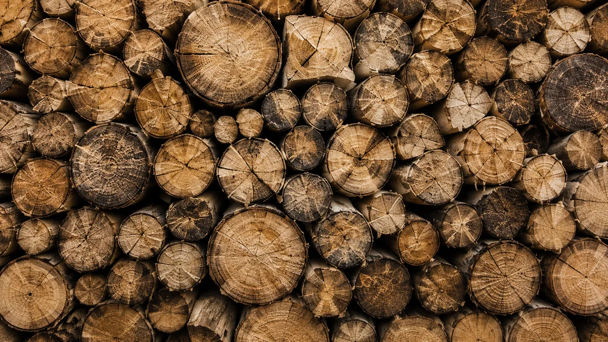 Cut logs are stacked tightly as a biomass and firewood texture.