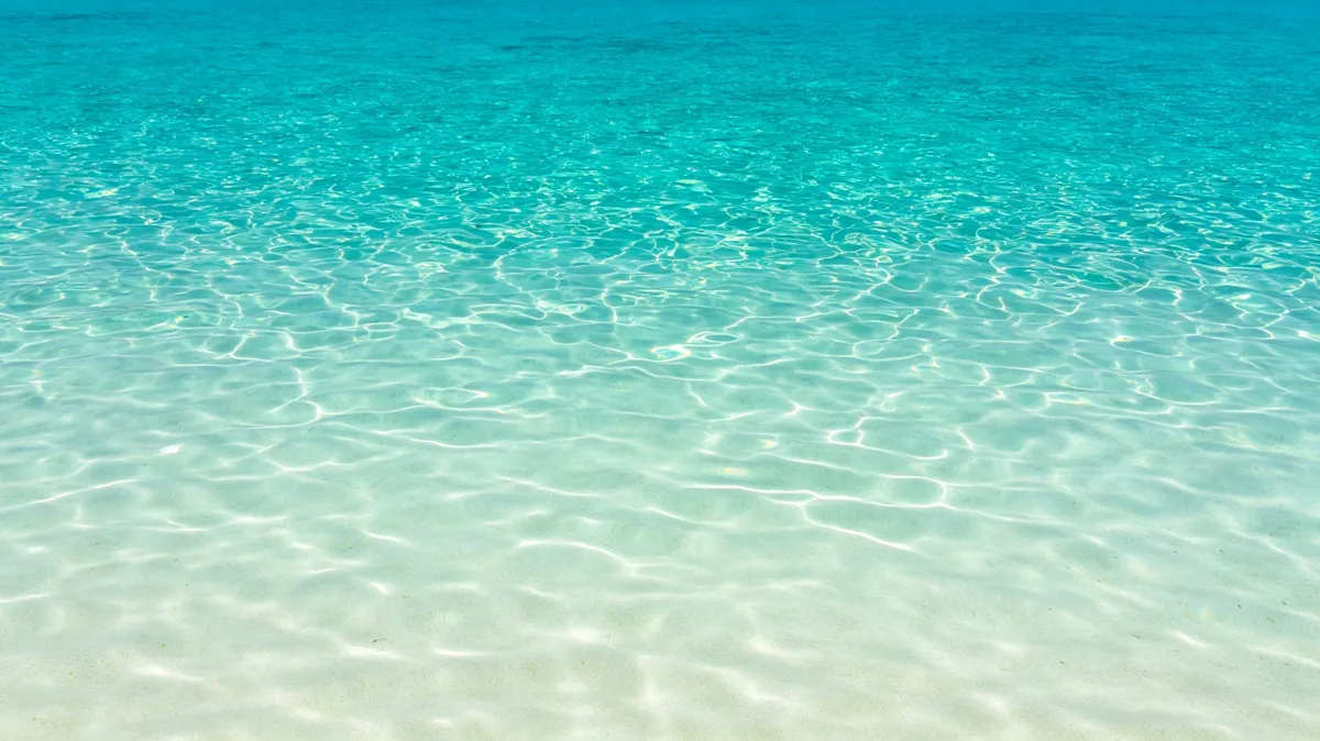 clear tropical water reveals bright rippled sand in shallow turquoise sea.