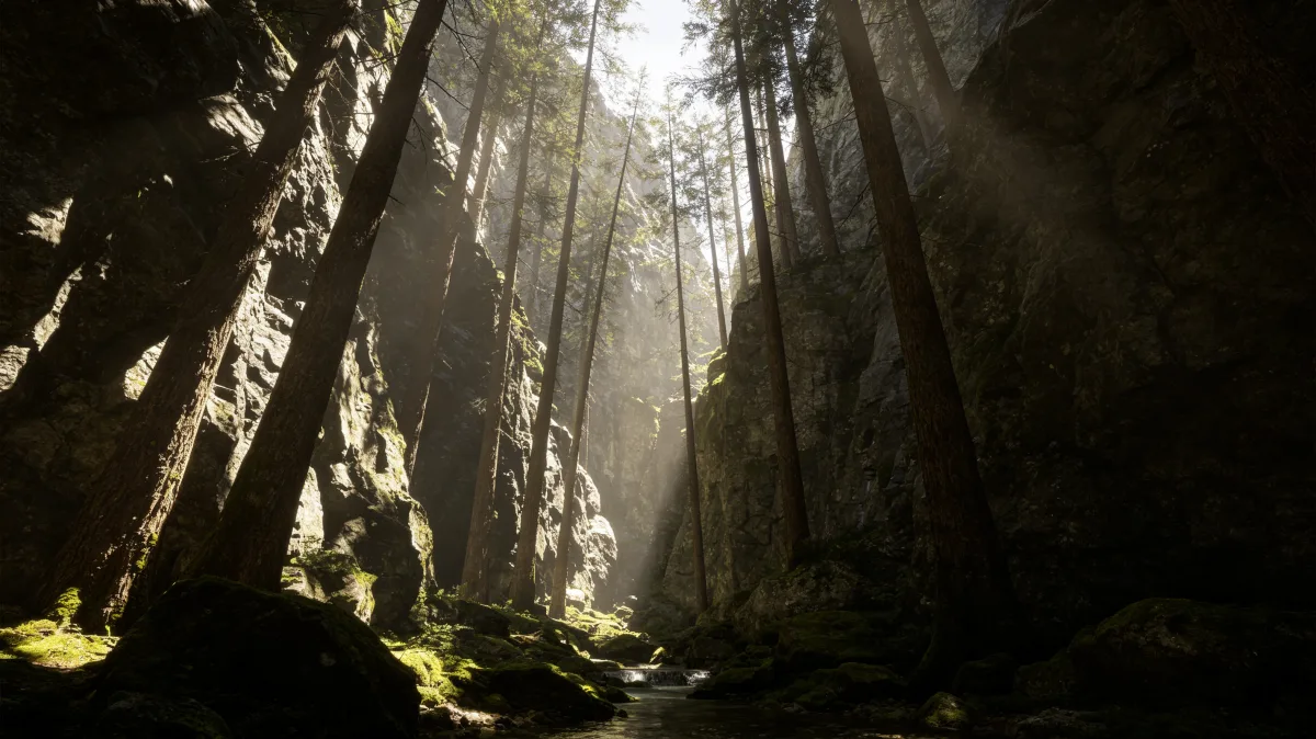 sunbeams through ancient redwood grove and mossy trunks